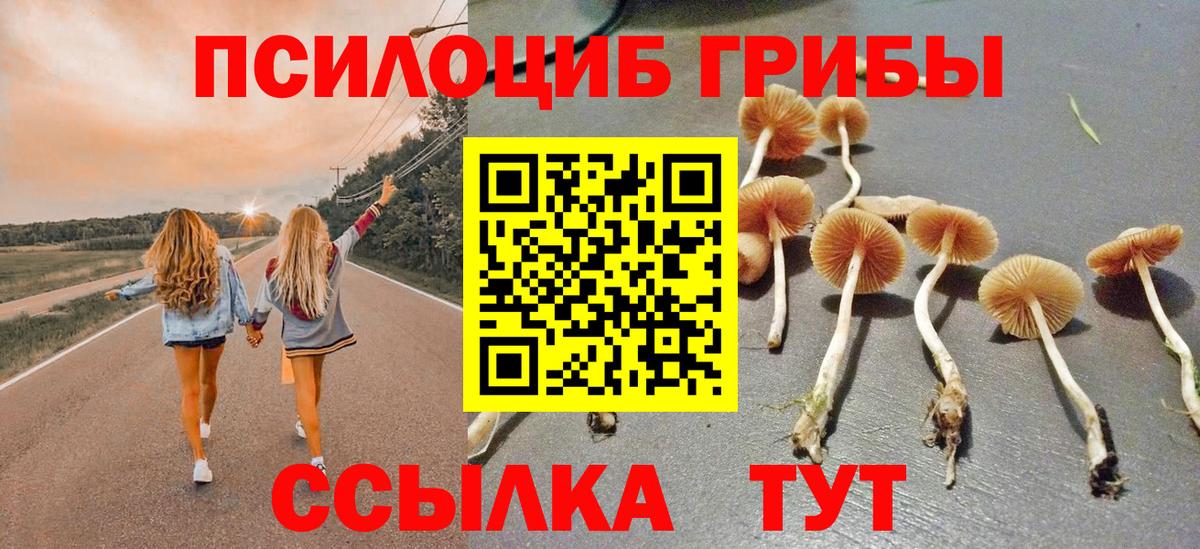 Галлюциногенные грибы мицелий  Вход с VPN  Барабинск 